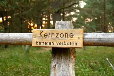 Naturlandschaft in der Nähe der Ferienwohnung