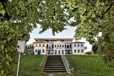 Ein Garten an der Unterkunft Logierhaus Friedrich WE 5 - 