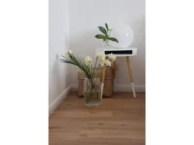Grundriss der Unterkunft Zur Hanse Wohnung 1 1