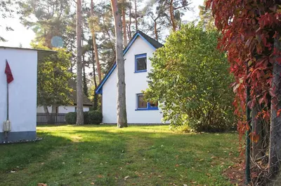 Ein Garten an der Unterkunft Nordlicht