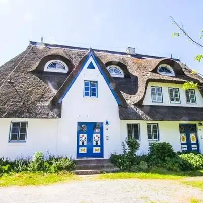 Strandmuschel