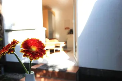Grundriss der Unterkunft Lieblingshaus Eddie