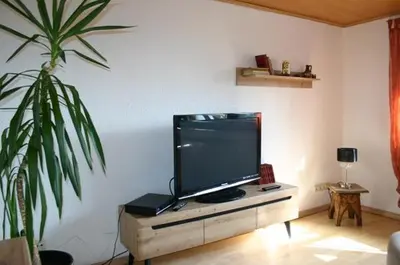TV/Unterhaltungsangebot in der Unterkunft Traudi´s Hüsing