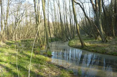 Naturlandschaft in der Nähe der Ferienwohnung