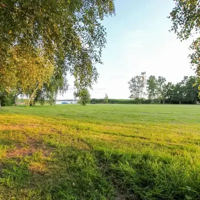 Schilfkante - Am Ufer