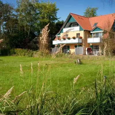Möwennest