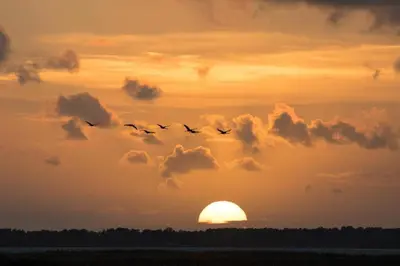 Blick auf den Sonnenuntergang/Sonnenaufgang von der Ferienwohnung aus oder aus der Nähe