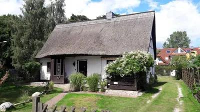Ein Garten an der Unterkunft Reethus