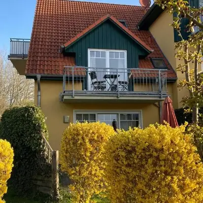 Friedensstraße 41 Wohng 12