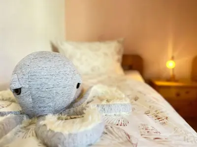 Ein Bett oder Betten in einem Zimmer der Unterkunft Ferienhaus Friederike