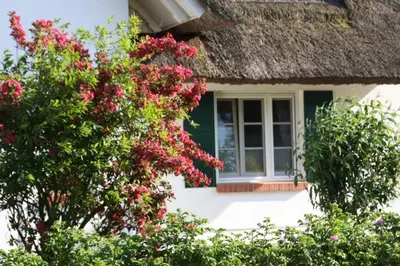 Ein Garten an der Unterkunft Moin Moin