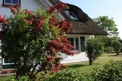 Ein Garten an der Unterkunft Moin Moin