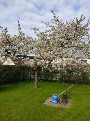 Ein Garten an der Unterkunft Ferienwohnung OstseeStrandLäufer 2
