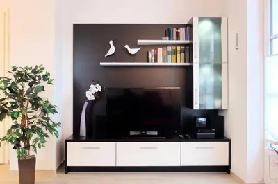 TV/Unterhaltungsangebot in der Unterkunft Schifferhaus Fewo 3