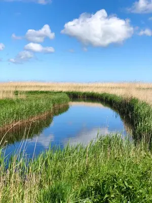 Naturlandschaft in der Nähe der Ferienwohnung