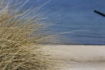 Naturlandschaft in der Nähe des Ferienhauses