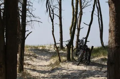 Naturlandschaft in der Nähe der Ferienwohnung