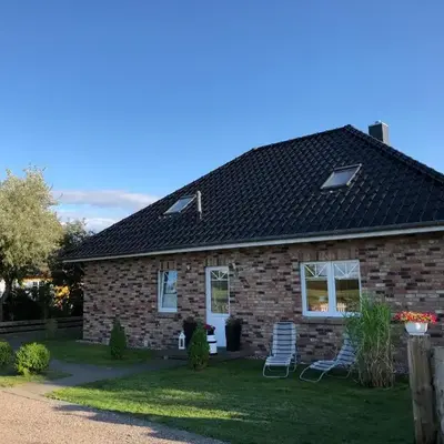 Graureiher