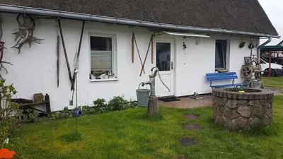 Ein Garten an der Unterkunft Hagebutte