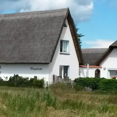 Hagebutte