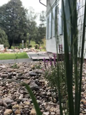 Ein Garten an der Unterkunft Hafen Zwei