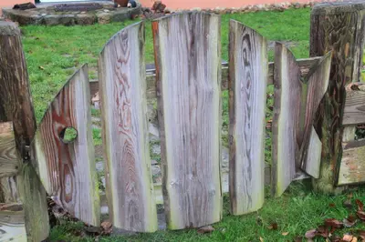 Ein Garten an der Unterkunft Haus 
