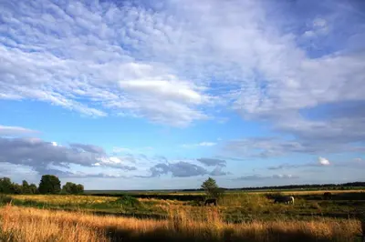 Naturlandschaft in der Nähe des Ferienhauses