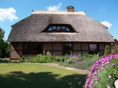 Ein Garten an der Unterkunft Boddenzauber
