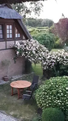 Ein Garten an der Unterkunft Boddenzauber
