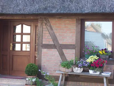Ein Garten an der Unterkunft Boddenzauber