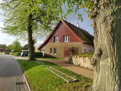 Die Umgebung um das Ferienhaus
