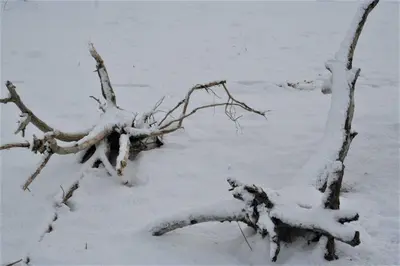 Ferienwohnung Alfredo im Winter