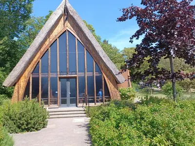 Ein Garten an der Unterkunft Haus Seestern