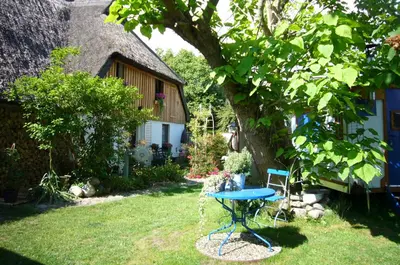 Ein Garten an der Unterkunft Tiny House Ostsee # Naturwerk