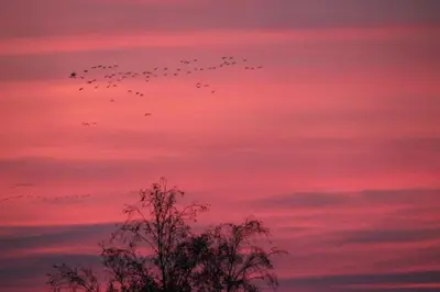 Blick auf den Sonnenuntergang/Sonnenaufgang von des Ferienhauses aus oder aus der Nähe