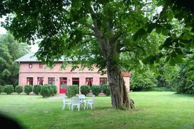 Ein Garten an der Unterkunft Erholung in der Natur - Urlaub im Alten Forsthaus