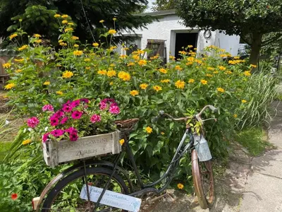 Ein Garten an der Unterkunft Naturwerk