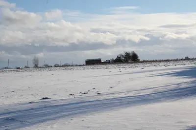 An den Boddenwiesen III im Winter