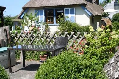 Ein Garten an der Unterkunft Am Strand
