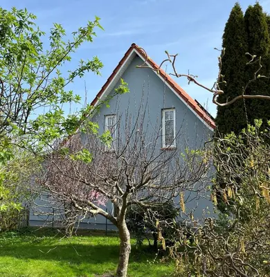 Ein Garten an der Unterkunft Ferienhaus Slichtemolen