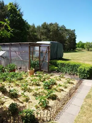 Ein Garten an der Unterkunft NEU Ferienhaus am Saaler Bodden