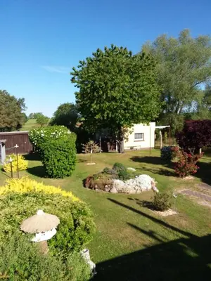 Ein Garten an der Unterkunft NEU Ferienhaus am Saaler Bodden
