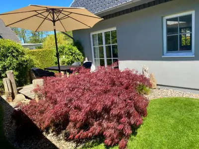 Ein Garten an der Unterkunft Ferienhaus Buhne 31