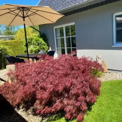 Ferienhaus Buhne 31