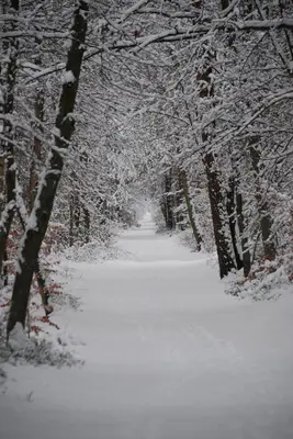 Winter's Ferienwohnungen in Prerow im Winter