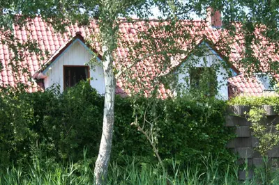 Ein Garten an der Unterkunft Strandhaus Jonathan 4 OG