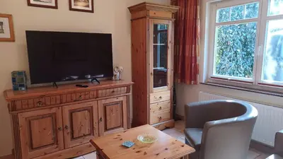 TV/Unterhaltungsangebot in der Unterkunft Ferienhaus Swantje