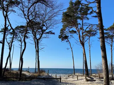 Naturlandschaft in der Nähe der Ferienwohnung