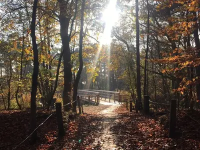 Naturlandschaft in der Nähe der Ferienwohnung