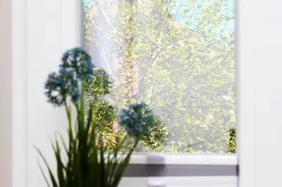 Ein Garten an der Unterkunft FeWo Ferienwelle